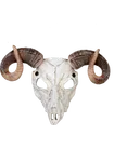 Deer head